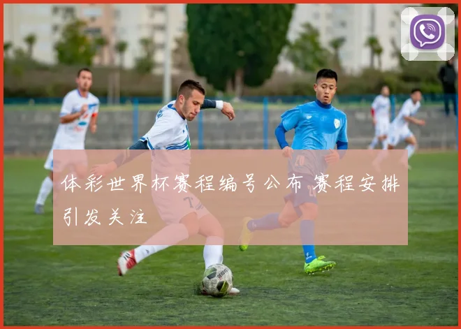 体彩世界杯赛程编号公布 赛程安排引发关注