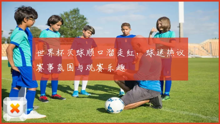 世界杯买球顺口溜走红,球迷热议赛事氛围与观赛乐趣