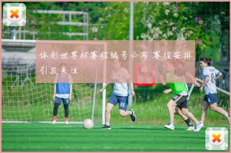 体彩世界杯赛程编号公布 赛程安排引发关注